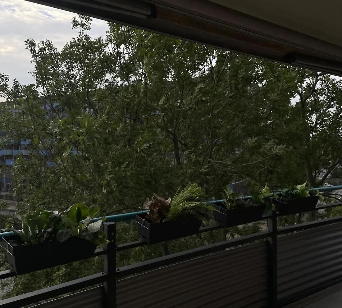 Large West Amsterdam Apartment With Balcony 0*,