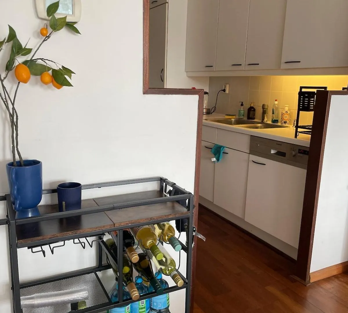 Large West Amsterdam Apartment With Balcony